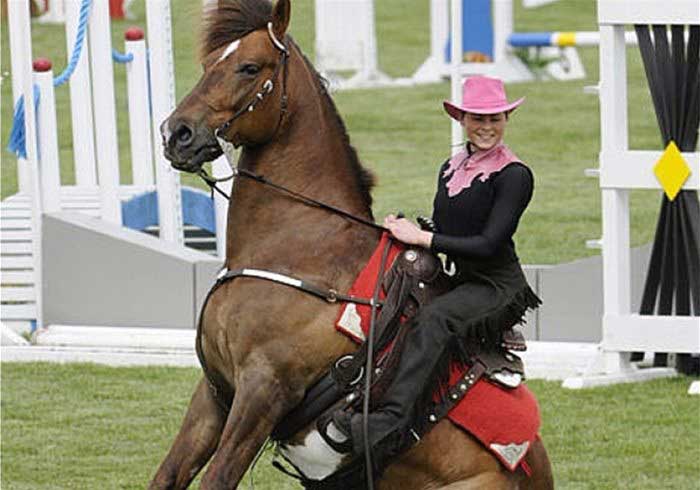 Stallion Trick Riding