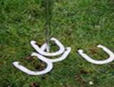 Hire Horse shoe tossing game
