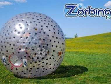 Zorb Ball on grass