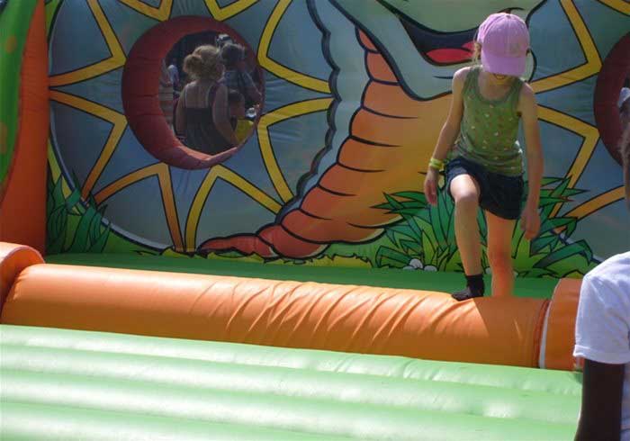 Log Roll Inflatable Fun